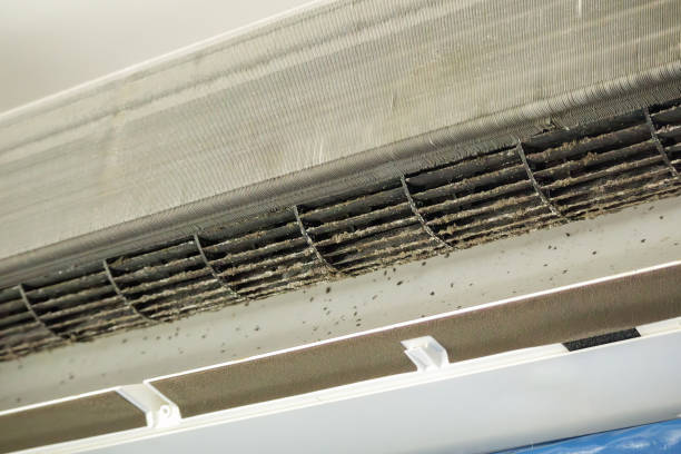 Air Duct Mold Removal in Horicon, WI